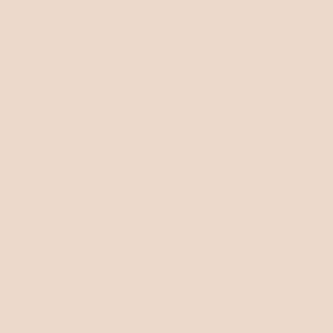 Light Beige 01