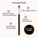 Luscious Cosmetics concealer brush displayed on a white background with key features highlighted.