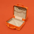 On the Go Vanity Case