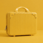 On the Go Vanity Case