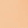 Warm Beige 3